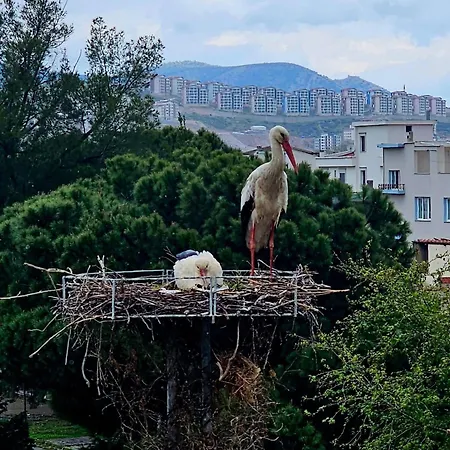 Apartament Saint Johns Hill Boutique Ephesus