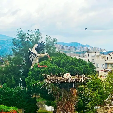 Appartement Saint Johns Hill Boutique Ephesus