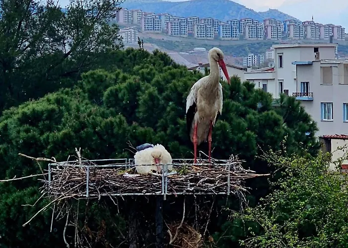 Апартаменты Saint Johns Hill Boutique Ephesus