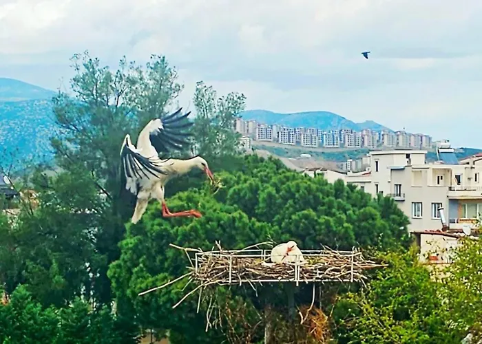 דירה Saint Johns Hill Boutique Ephesus